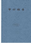 审计报告种类及作用详解